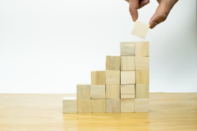 Family business leadership